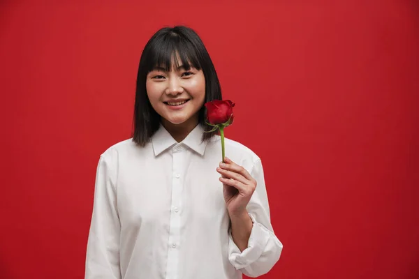 Jovem Asiática Morena Mulher Vestindo Camisa Posando Com Rosa Isolada — Fotografia de Stock