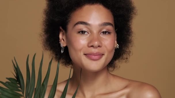 Μια Πανέμορφη Ημίγυμνη Αφρο Αμερικανίδα Που Ποζάρει Πράσινη Παλάμη Και — Αρχείο Βίντεο