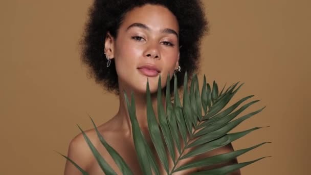Krásná Polonahá Afro Americká Žena Pózující Zelenou Palmovou Dovolenou Stojící — Stock video