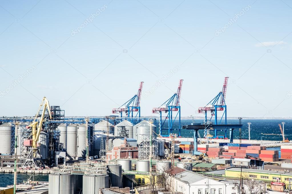 Industrial port