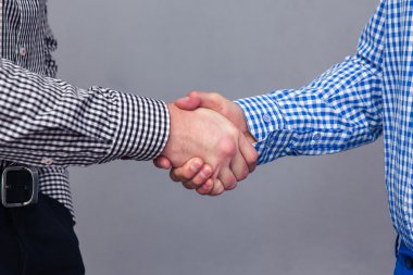 Portrait of a two male hands doing handshake