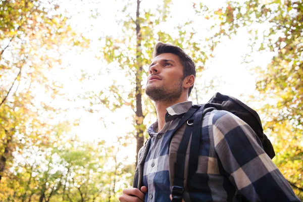 Homem viajando na floresta — Fotografia de Stock