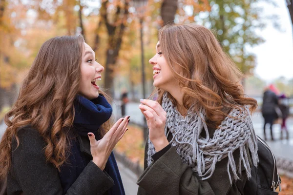 Γελώντας γυναίκες να συζητούν στο πάρκο φθινόπωρο — Φωτογραφία Αρχείου