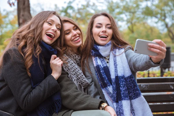 Cheerful girlfriends making selfie photo on smartphone — Stock Photo, Image