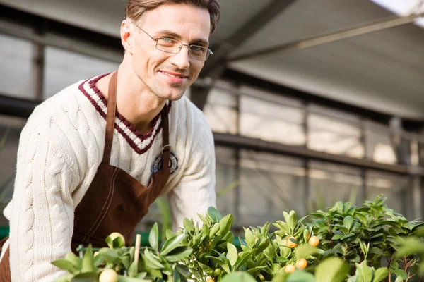 Jardinero masculino sonriente que trabaja en el centro del jardín — Foto de Stock