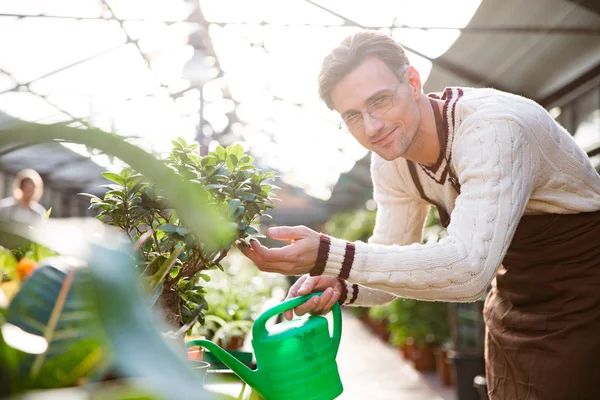Schöner männlicher Gärtner gießt Pflanzen mit Wasserkanne — Stockfoto