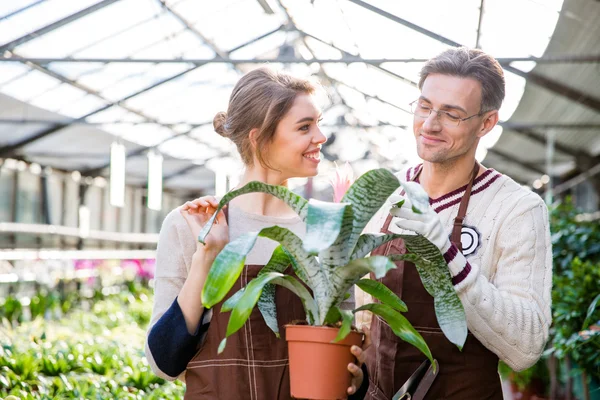 Mujer alegre florista y jardinero hombre cuidando de la flor — Foto de Stock