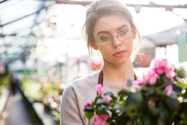 Красива концентрована жінка-флорист, що працює з квітами — стокове фото