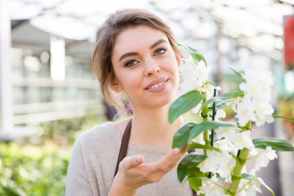 Гарненька жінка садівник з білою квітучою орхідеєю в оранжереї — стокове фото