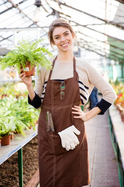 Mujer alegre jardinero de pie en la naranjería y la celebración de helecho —  Fotos de Stock