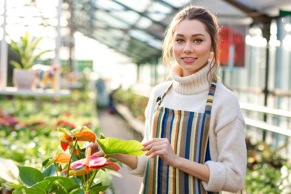 Hermosa mujer jardinero de pie en invernadero — Foto de Stock