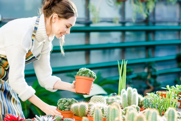 Felice carino giovane giardiniere femminile prendersi cura di cactus — Foto Stock