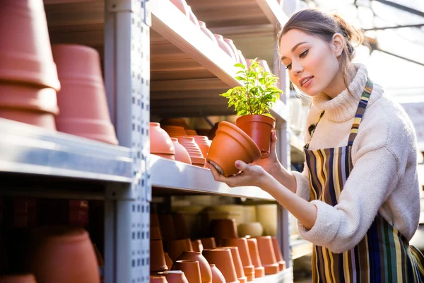 Красива жінка садівник шукає новий глиняний горщик в магазині — стокове фото