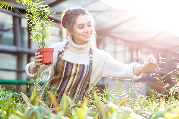 Uśmiechnięta kobieta ogrodnik w dbanie o rośliny i kwiaty — Zdjęcie stockowe