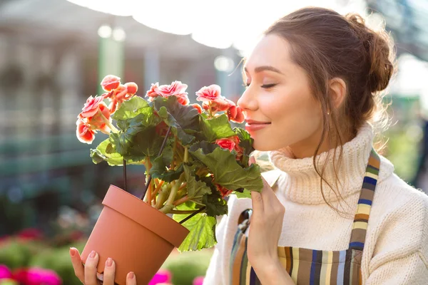 Inspired woman florist smelling flowers of begonia in greenhouse — Stock Photo, Image