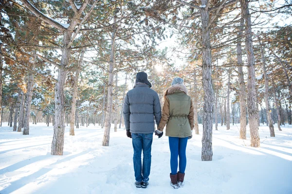 Вид сзади на пару, держащуюся за руки и стоящую в парке — стоковое фото