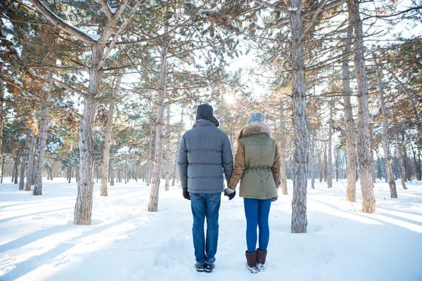 Back view of couple holding hands and standing in park — Stock Photo, Image