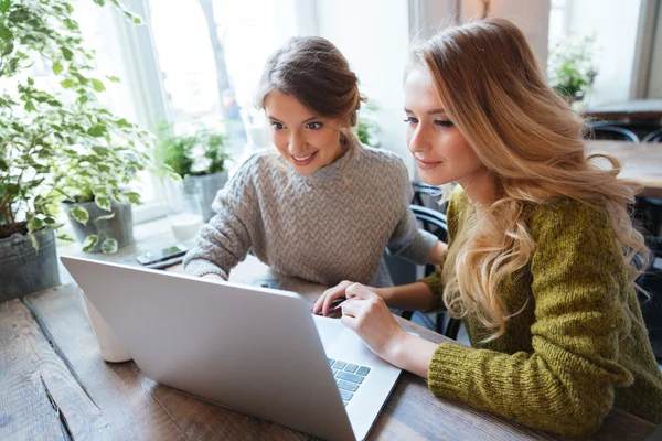 Mulheres usando computador portátil no restaurante — Fotografia de Stock