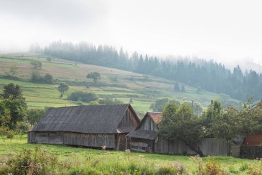 Karpat Dağları 'ndaki güzel sabah doğal manzarası