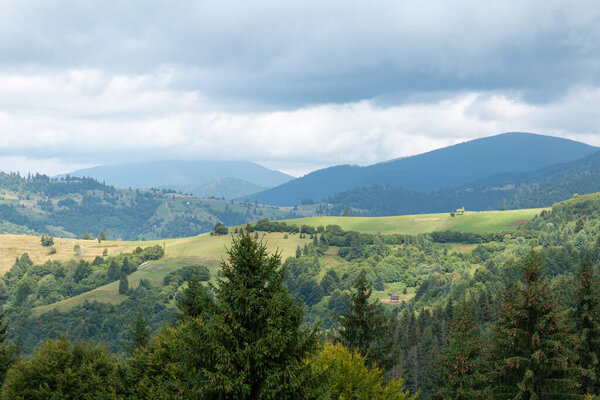 Beautiful natural landscape in the summer Carpathian mountains