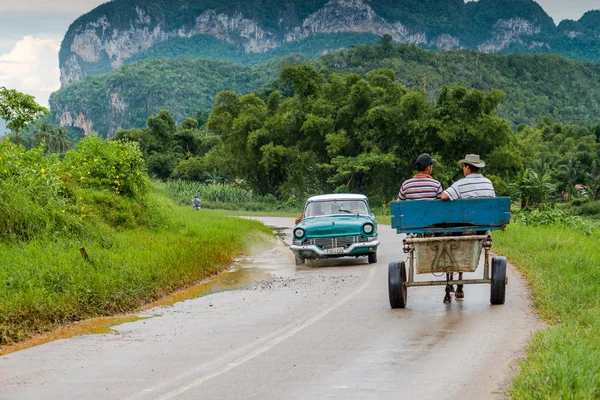 Местное движение в сельской дороге в Vinales, Куба . — стоковое фото