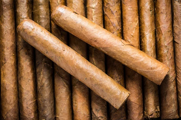 Vista cercana de cigarros rodados a mano cubanos —  Fotos de Stock