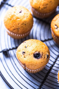 Ev yapımı yaban mersini myffins soğutma tepsisi üzerinde