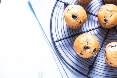 Ev yapımı yaban mersini myffins soğutma tepsisi üzerinde