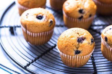 Ev yapımı yaban mersini myffins soğutma tepsisi üzerinde