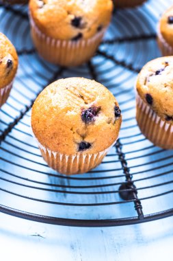 Ev yapımı yaban mersini myffins soğutma tepsisi üzerinde