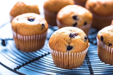 Ev yapımı yaban mersini myffins soğutma tepsisi üzerinde