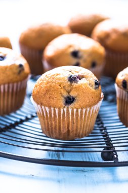 Ev yapımı yaban mersini myffins soğutma tepsisi üzerinde