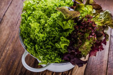 Karışık salata bahar bahçeden taze