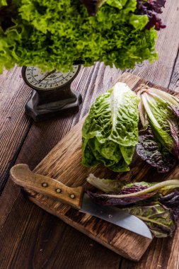 Organik bahar bahçe canlı taze salata yaprakları