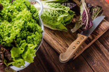 Organik bahar bahçe canlı taze salata yaprakları