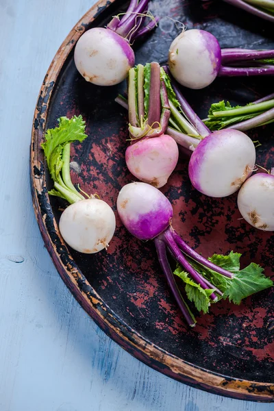 Spring fresh young purple turnip — Stock Photo, Image