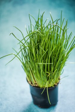 Tencerede taze organik bıçak