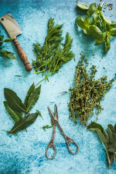 stock image Mixed fresh herbs and vintage mezzaluna