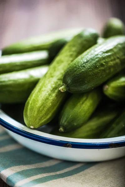 Kom met verse komkommers — Stockfoto