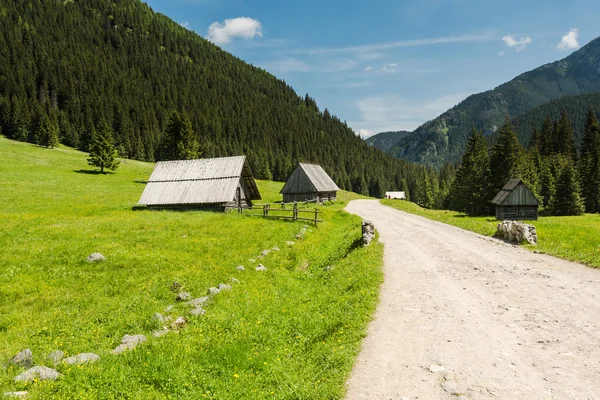 Off track road in Chocholowska Valley — Stock Photo, Image