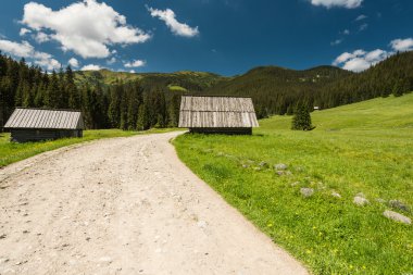 Chocholowska Vadisi Tatra Milli Parkı'nda Polonya