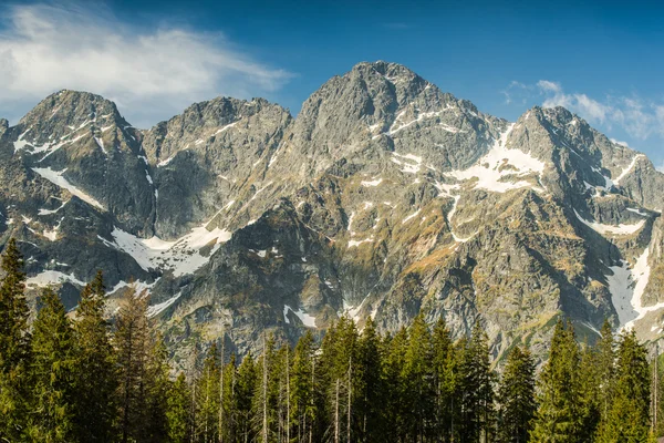 Panoramic vista on Poland highest mountains range — Stock Photo, Image