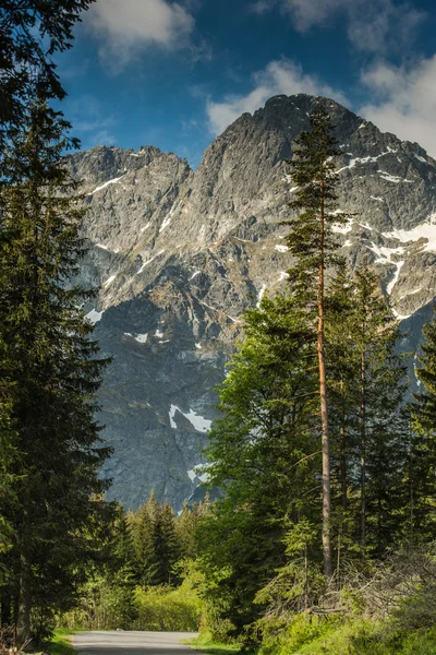 Asfaltweg in de vallei met de hoogste bergen in de achtergrond — Stockfoto