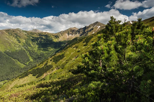 Panoramic vista over high peak mountains — Stock Photo, Image