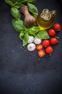 fesleğen, domates ve mozzarella peyniri