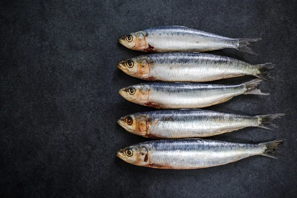 Fresh sardin catch on dark slate — Stock Photo, Image