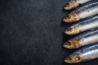 karanlık mazisi temiz sardin yakalamak