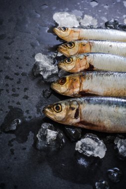 Taze yakalayan balık