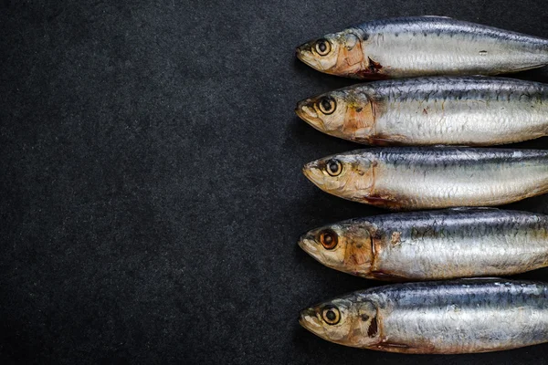 Peces sardinos enteros — Foto de Stock