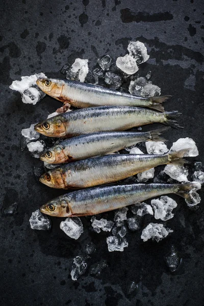 Pescado fresco entero sobre hielo — Foto de Stock